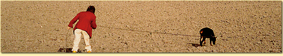 Barbara Pietrusky - Verhaltenspsychologie f�r Hunde