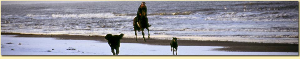 Barbara Pietrusky - Verhaltenspsychologie f�r Hunde