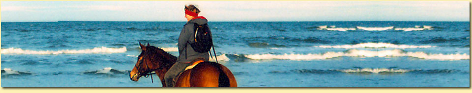 Barbara Pietrusky - Verhaltenspsychologie f�r Hunde