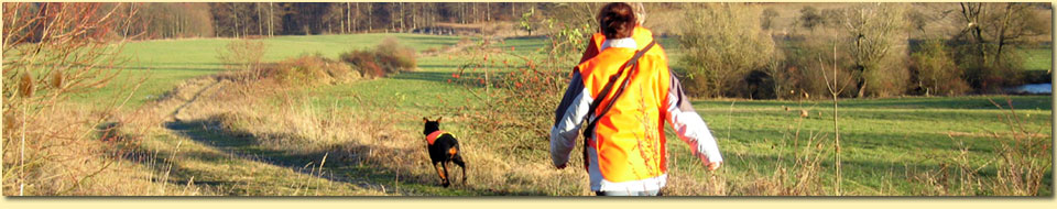 Barbara Pietrusky - Verhaltenspsychologie f�r Hunde