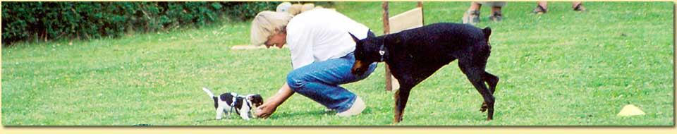 Barbara Pietrusky - Verhaltenspsychologie f�r Hunde