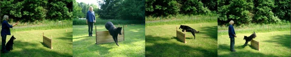 Barbara Pietrusky - Verhaltenspsychologie f�r Hunde