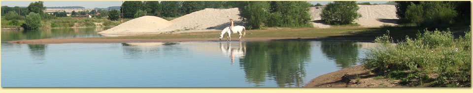 Barbara Pietrusky - Verhaltenspsychologie f�r Hunde