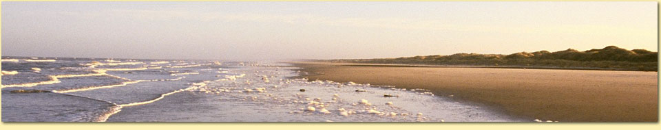 Barbara Pietrusky - Verhaltenspsychologie f�r Hunde