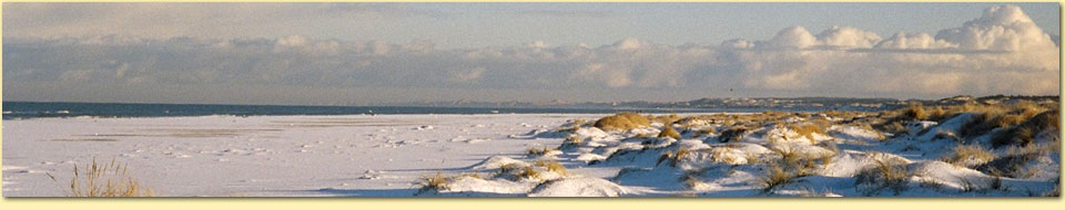 Barbara Pietrusky - Verhaltenspsychologie f�r Hunde