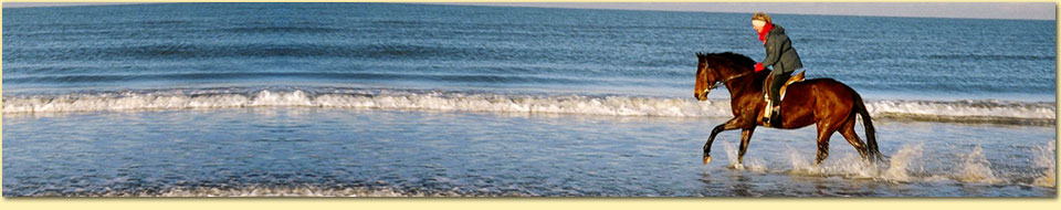 Barbara Pietrusky - Verhaltenspsychologie f�r Hunde